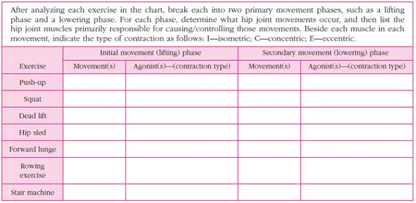 Hip Joint Movement Analysis Chart