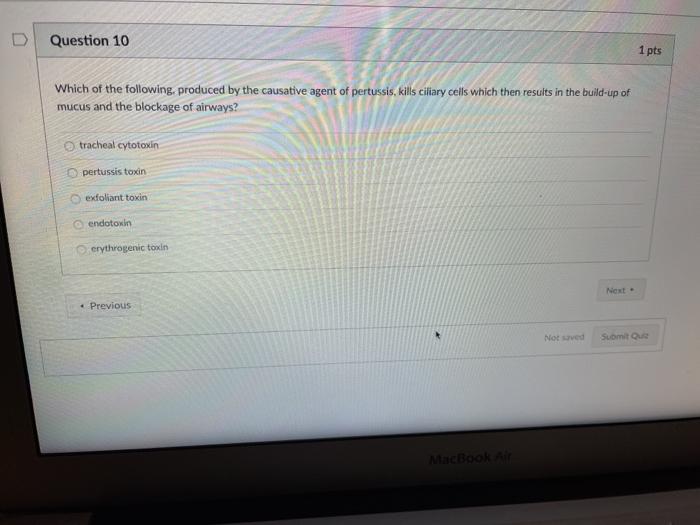Solved D Question 10 1 pts Which of the following, produced | Chegg.com