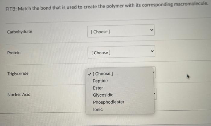 Solved FITB: Match the bond that is used to create the | Chegg.com