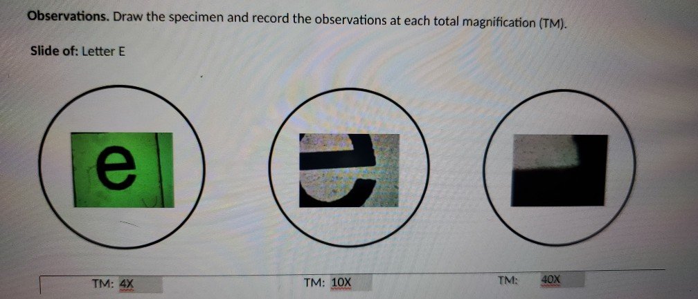 Solved Description For Each Descrube The Color Shape And Chegg Com Solved Description For Each Descrube The Color Shape And Chegg Com