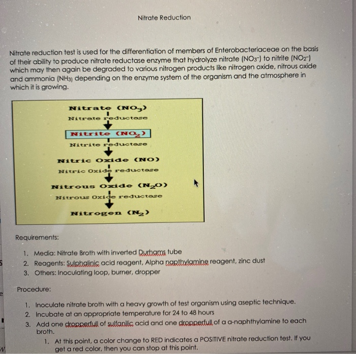 Solved Nitrate Reduction Nitrate reduction test is used for