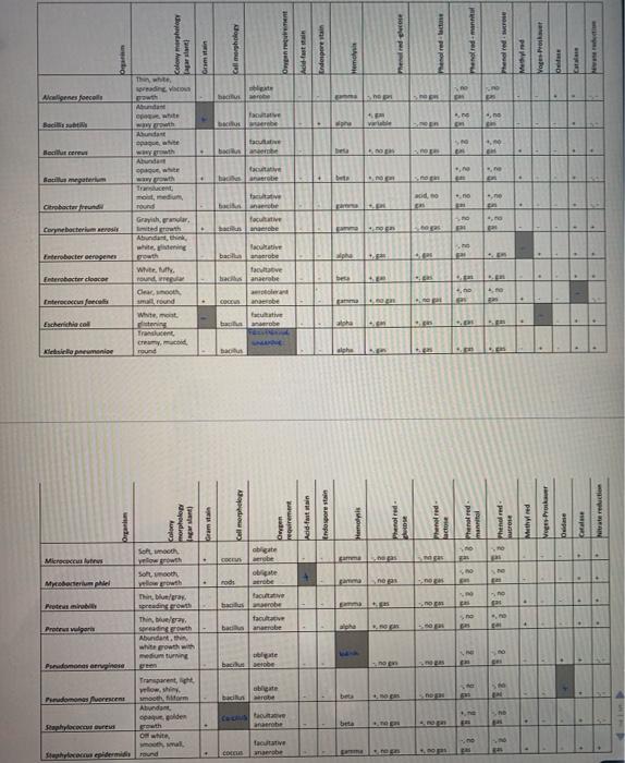 BIO 27 - Principles of Microbiology Identification of | Chegg.com