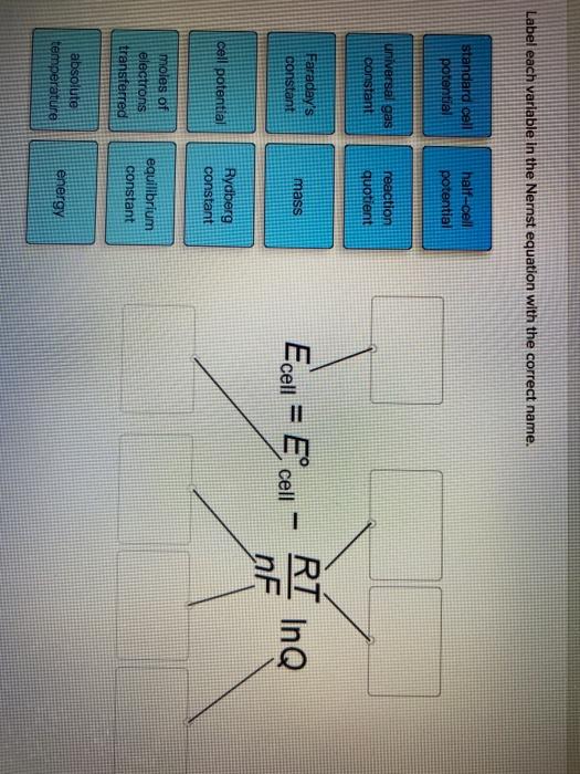 Solved Label Each Variable In The Nernst Equation With The 2680