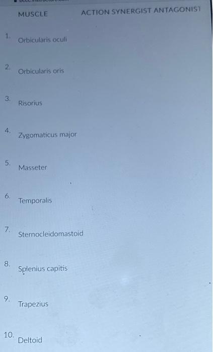 Solved MUSCLE ACTION SYNERGIST ANTAGONIST 1. Orbicularis Chegg