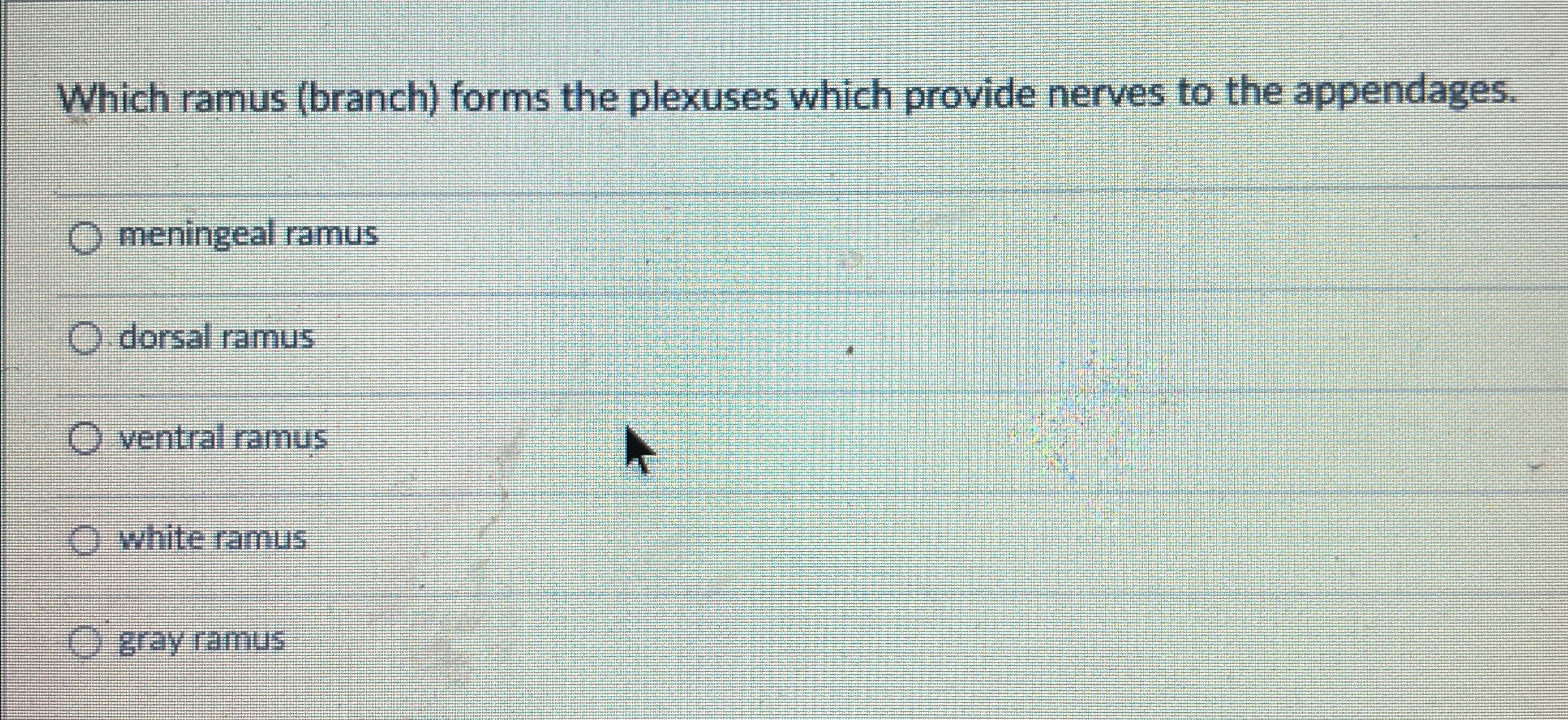 Solved Which ramus (branch) ﻿forms the plexuses which | Chegg.com
