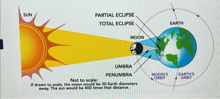 Solved SUN PARTIAL ECLIPSE TOTAL ECLIPSE EARTH MOON UMBRA | Chegg.com