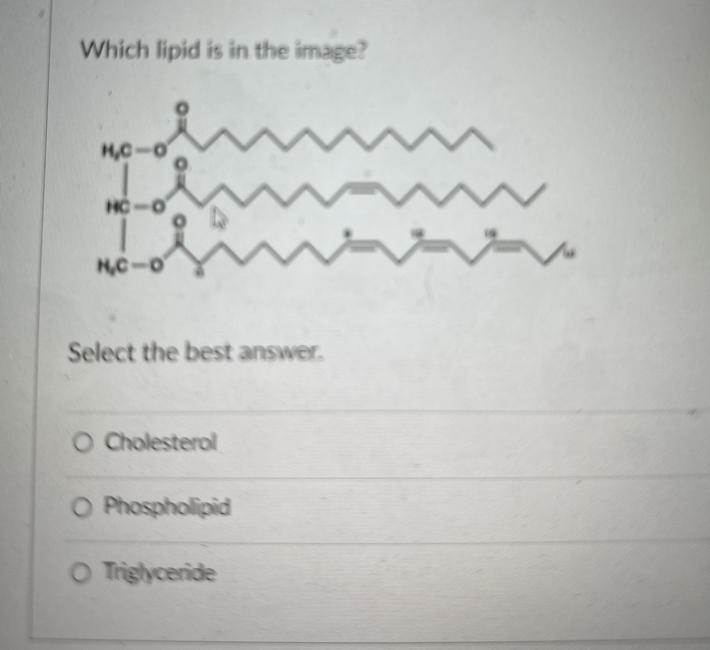 Solved Which lipid is in the image?Select the best | Chegg.com
