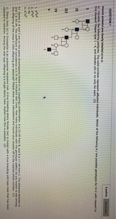 Solved QUESTION 1 6 points Save Anne Ensure answers are | Chegg.com