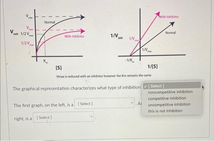 Vmax is reduced with an inhibitor however the Km remains the same
The graphical representation characterizes what type of inh