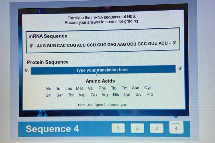 Solved Translate the mRNA sequence of HbS. Record your | Chegg.com