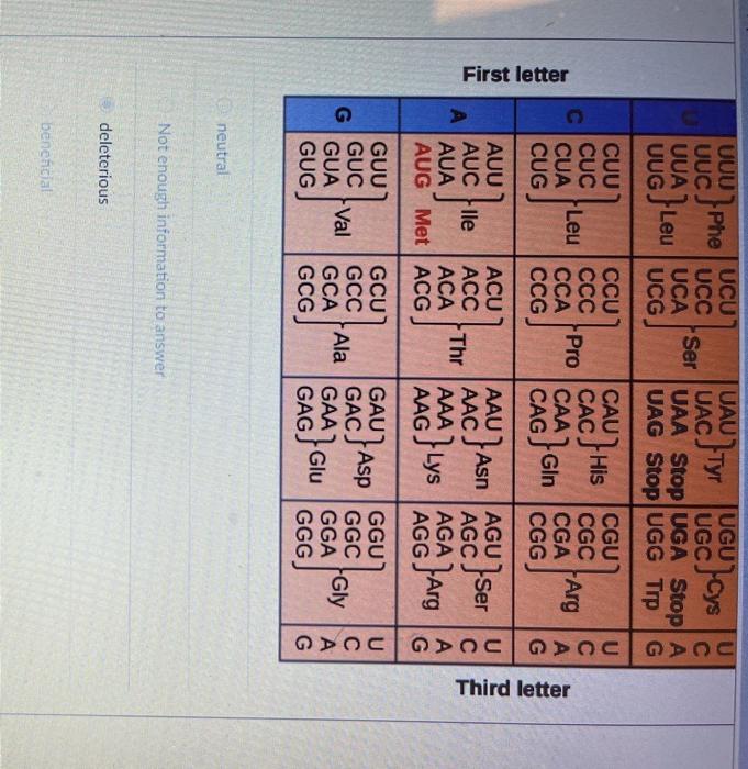 Solved A point mutation that changes the third nucleotide in | Chegg.com