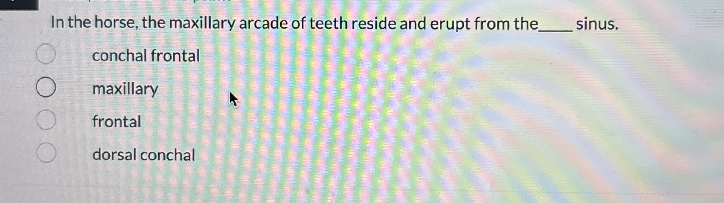 Solved In the horse, the maxillary arcade of teeth reside | Chegg.com