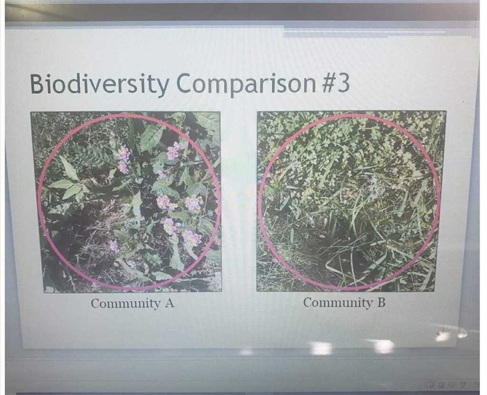 Solved Biodiversity Comparison #1 Community A Community B | Chegg.com