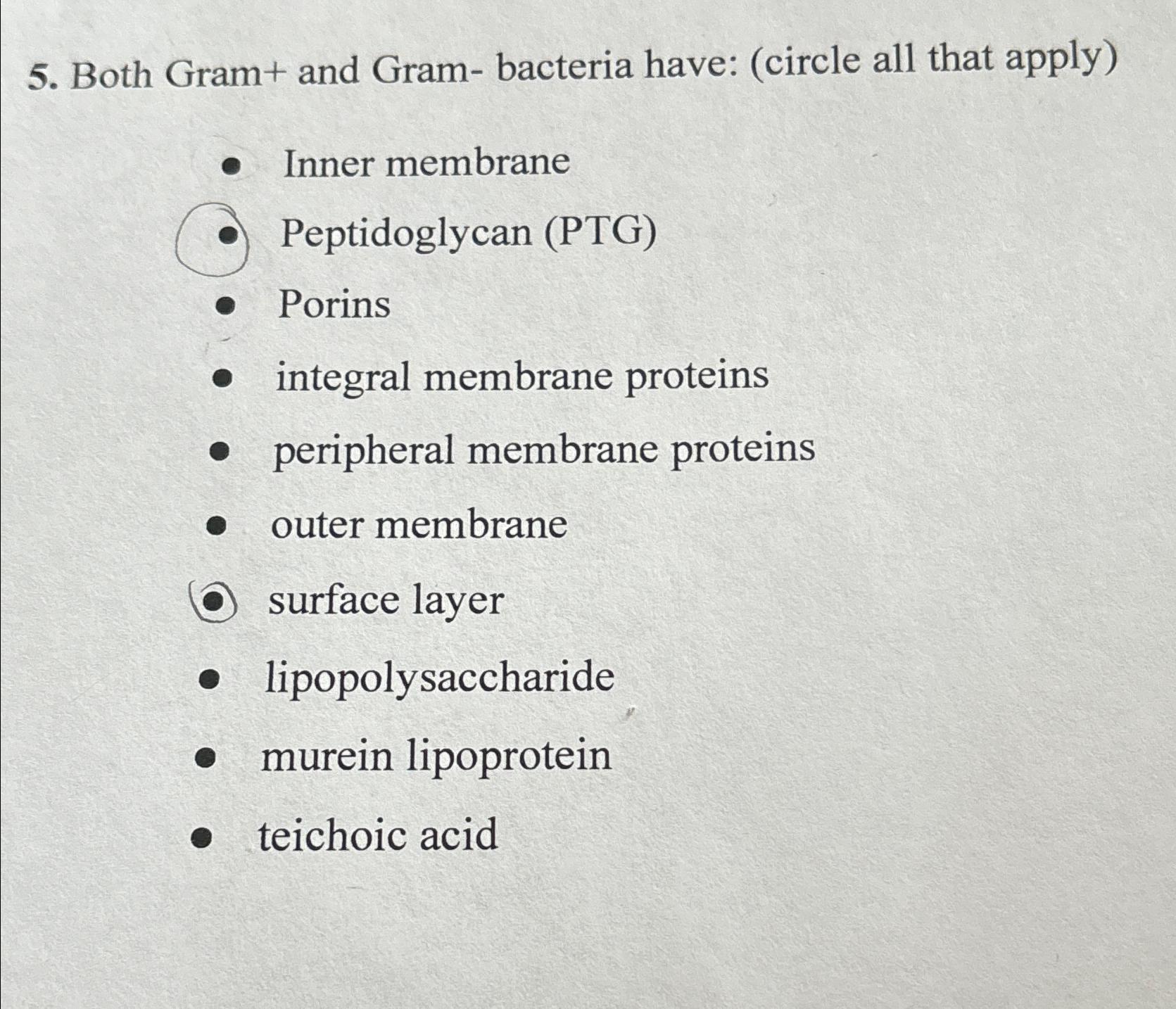 Solved Both Gram+ ﻿and Gram- ﻿bacteria have: (circle all | Chegg.com