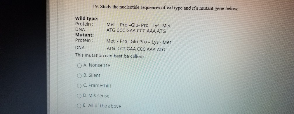 Solved 19. Study the nucleotide sequences of wild type and | Chegg.com