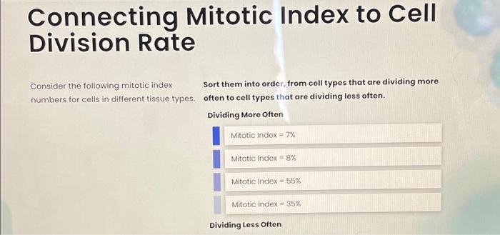 Solved Connecting Mitotic Index to Cell Division Rate Biology Diagrams