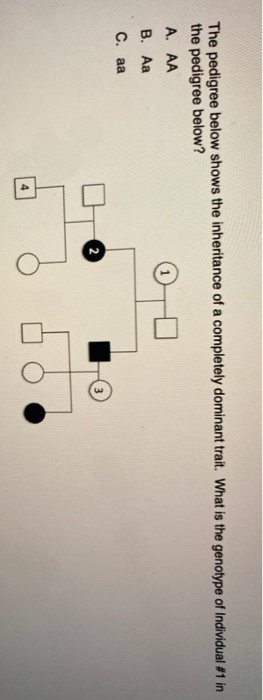 The Pedigree Below Shows The Inheritance Of A Chegg 