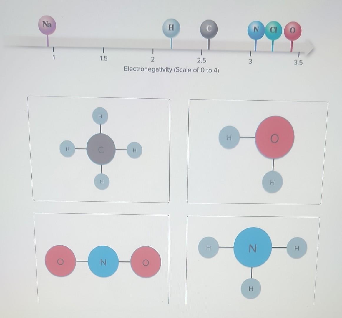 Solved 1241CUse the electronegativity table shown here to | Chegg.com