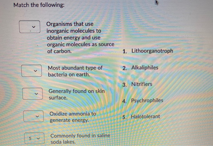 Solved Match the following: Organisms that use inorganic | Chegg.com