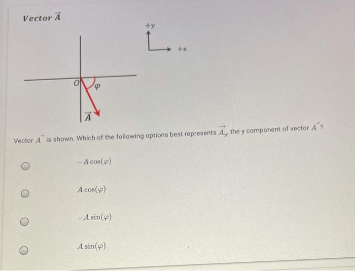 Solved Vector Ä ty L Vector A is shown. Which of the | Chegg.com