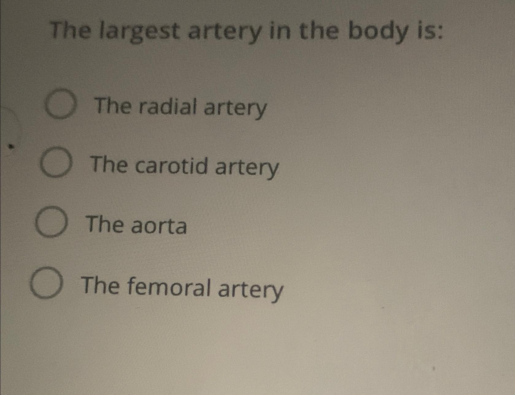 Solved The largest artery in the body is:The radial | Chegg.com