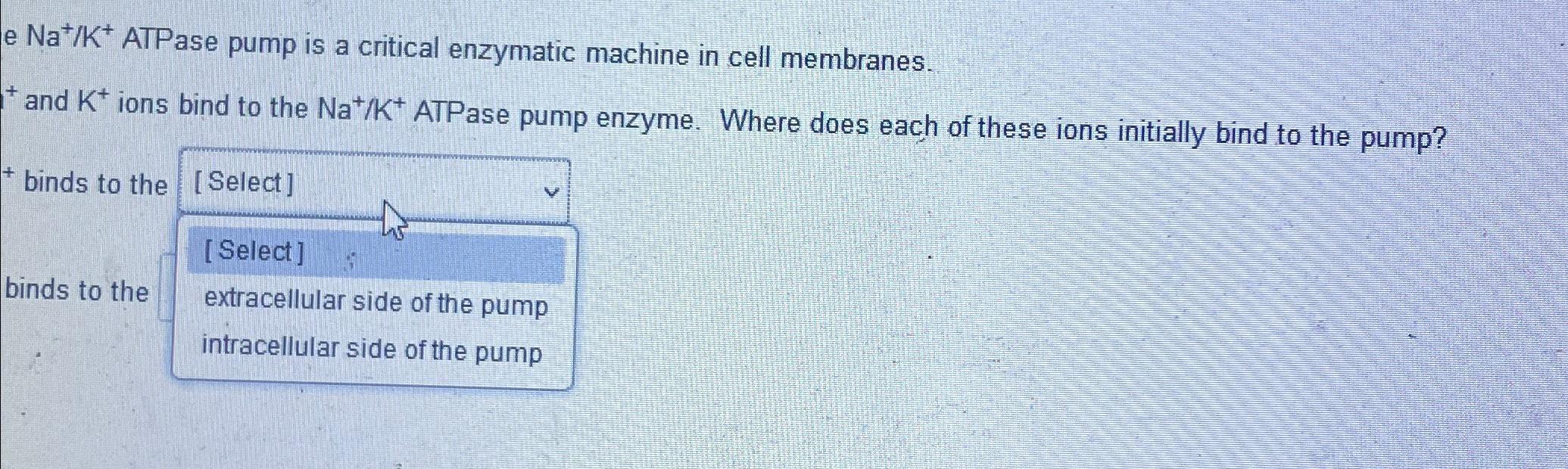 Solved Na+K+ATPase pump is a critical enzymatic machine in | Chegg.com