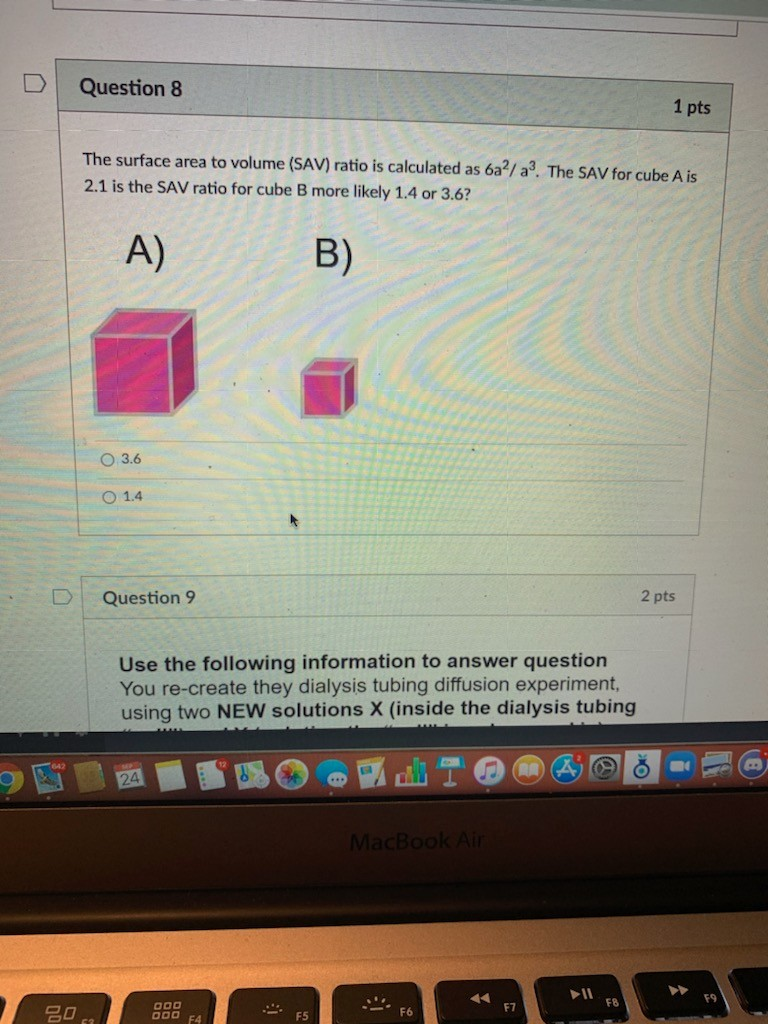 Solved Question 8 1 pts The surface area to volume (SAV) | Chegg.com