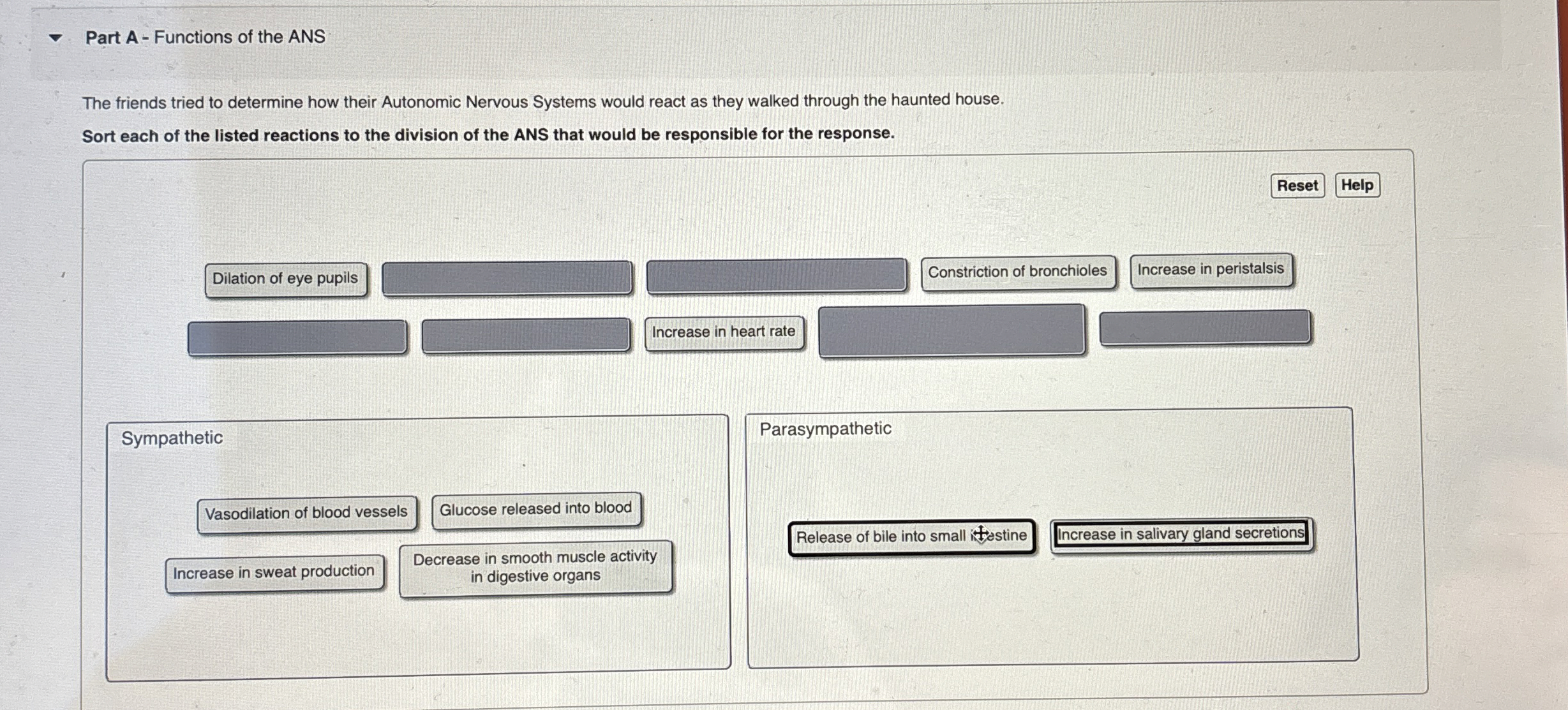 Solved Part A ﻿Functions of the ANSThe friends tried to