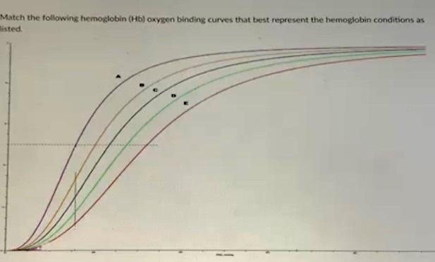 Solved Match The Following Hemoglobin (Hb) Oxygen Binding | Chegg.com