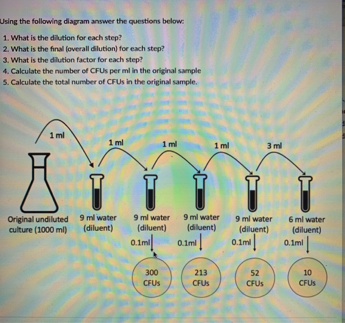 The Easiest Way to Calculate WR ML, Follow These Steps!