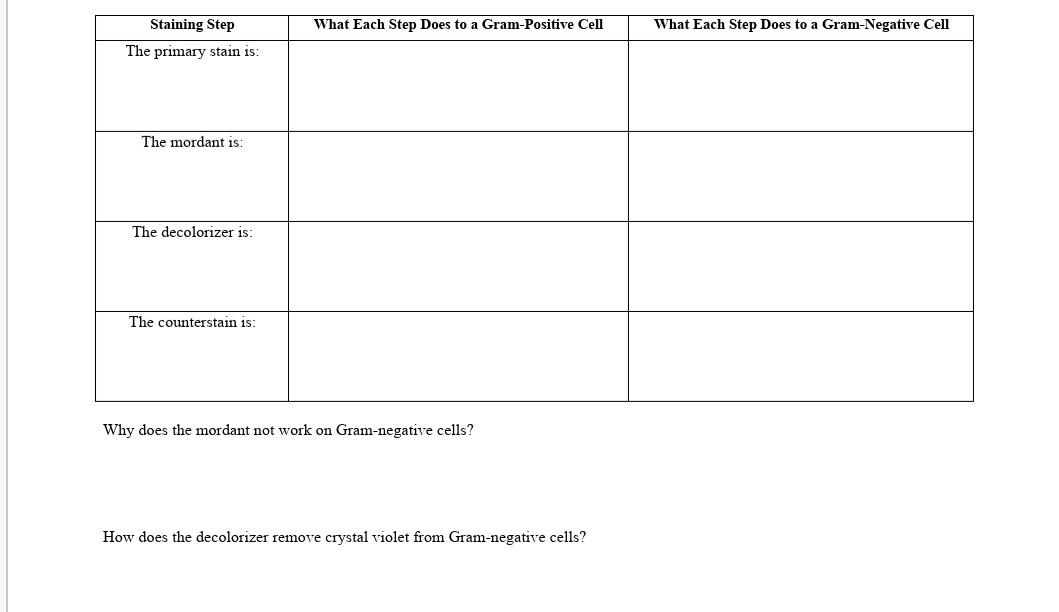 Solved What Each Step Does to a Gram-Positive Cell What Each | Chegg.com