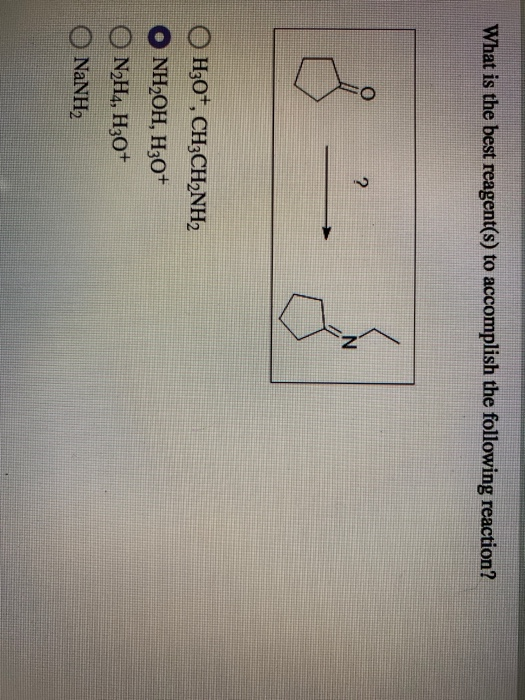 Solved What is the major product for this reaction? Cl2, | Chegg.com