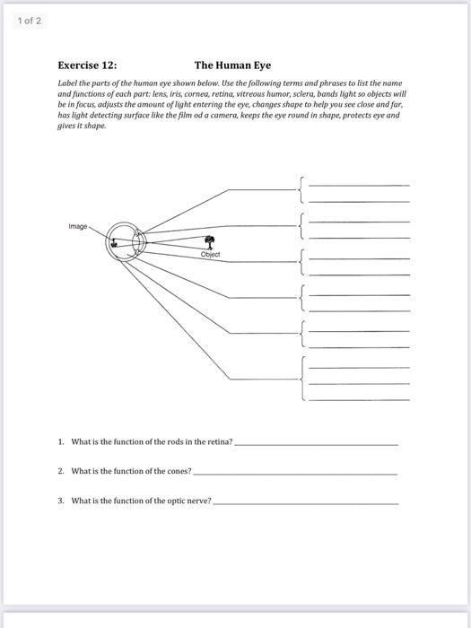 Solved 1 of 2 Exercise 12: The Human Eye Label the parts of | Chegg.com