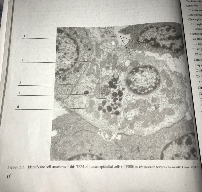 Help with this book : r/AnatomyandPhysiology