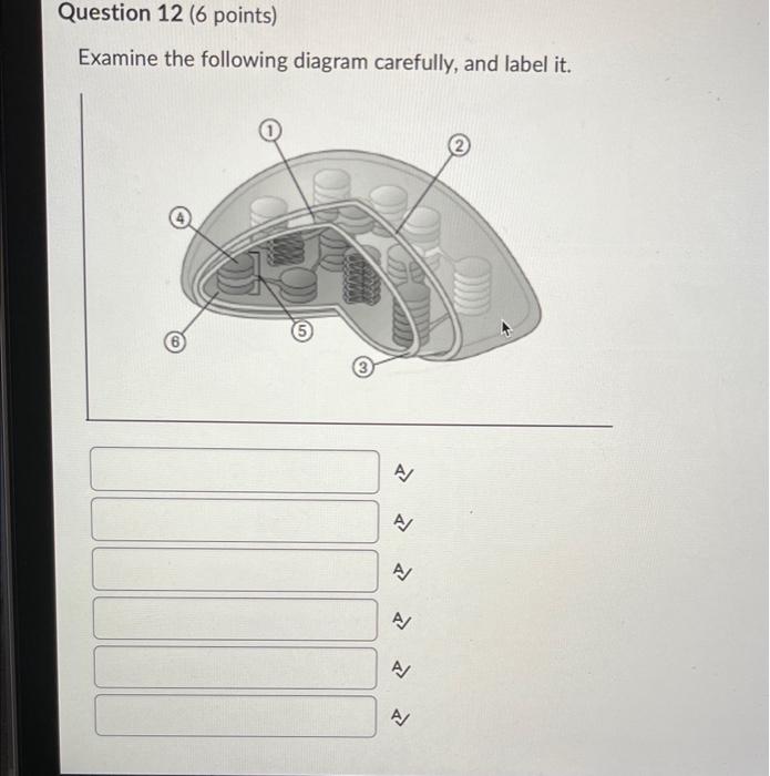 Solved Examine the following diagram carefully, and label | Chegg.com