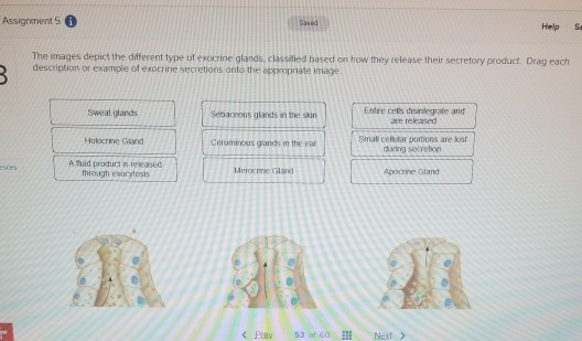 Solved Assignments Sed Help Se The Images Depict The Chegg Com