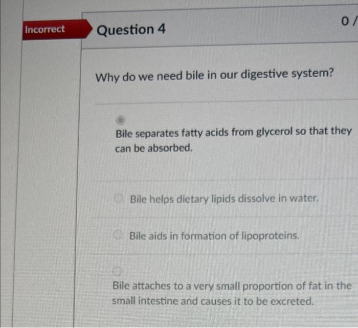 Solved Which is a function of lipids? coenzyme universal
