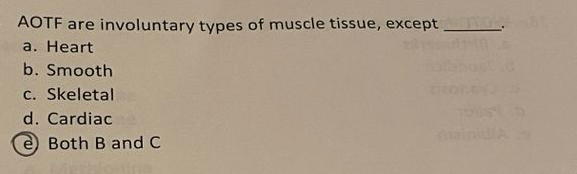 Solved AOTF are involuntary types of muscle tissue, excepta. | Chegg.com