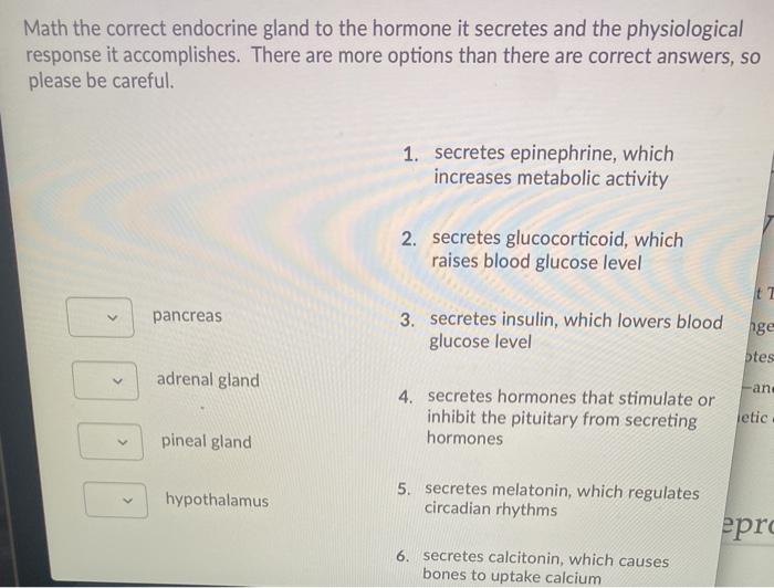 Solved Math the correct endocrine gland to the hormone it | Chegg.com