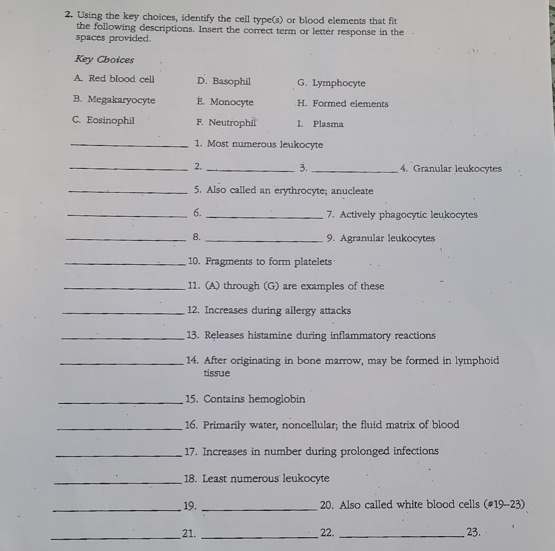 Solved 2 Using The Key Choices Identify The Cell Type s Chegg