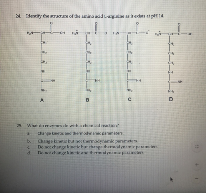 Solved 24. Identify the structure of the amino acid | Chegg.com