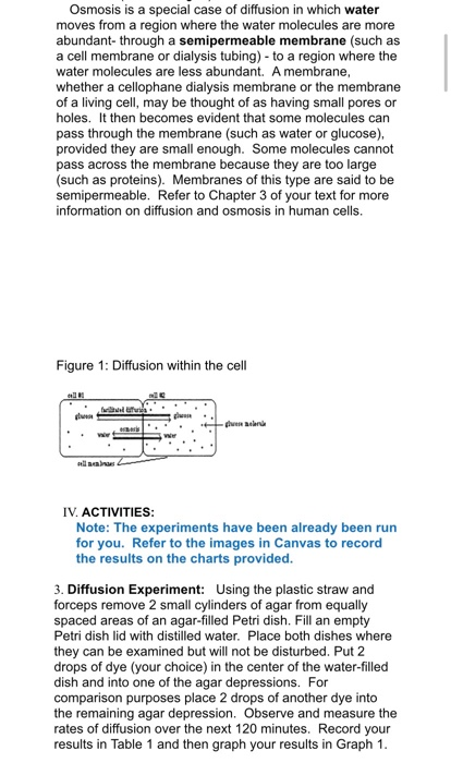 LAB 4: MOVEMENT THROUGH THE CELL MEMBRANE 1. | Chegg.com