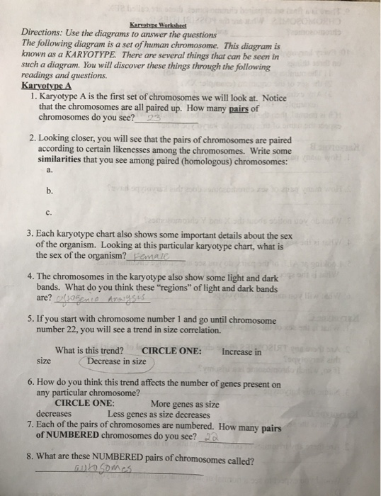 Can someone help me with my homework | Custom Essay ...