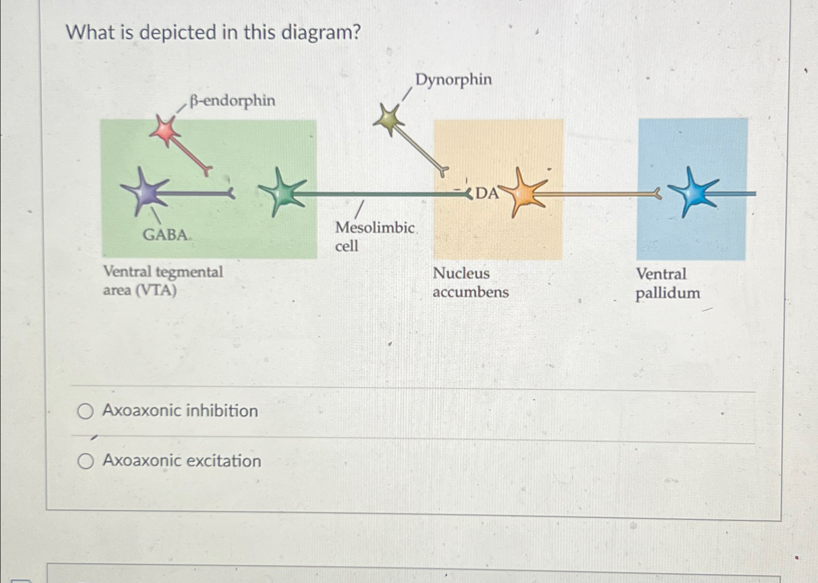 Solved What is depicted in this diagram?Axoaxonic | Chegg.com