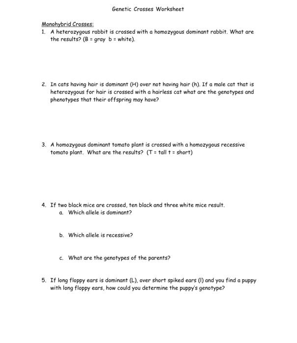 Solved Genetic Crosses Worksheet Monohybrid Crosses: 1. A | Chegg.com