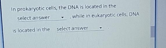 dna is located in the of eukaryotic cells