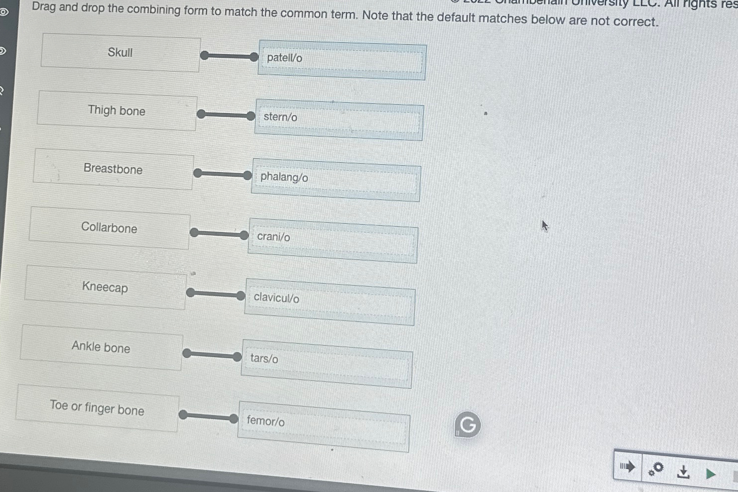 Solved Drag and drop the combining form to match the common | Chegg.com