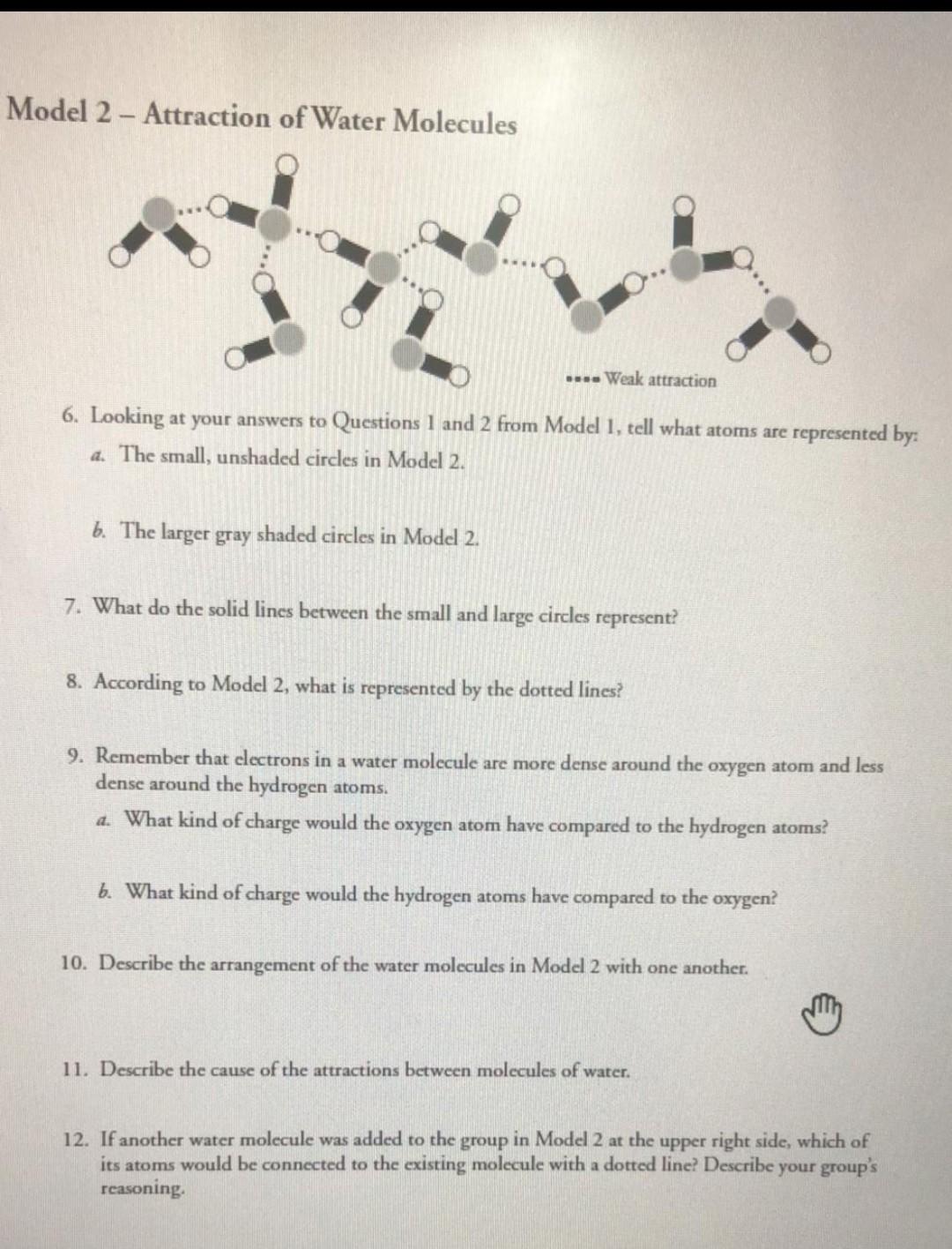 solved-model-2-attraction-of-water-molecules-weak-chegg