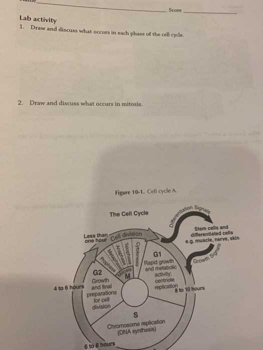 Solved Score Lab Activity 1. Draw And Discuss What Occurs In | Chegg.com