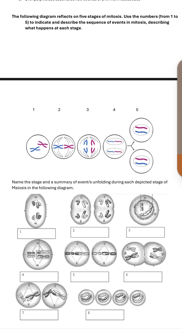 Solved The following diagram reflects on five stages of | Chegg.com